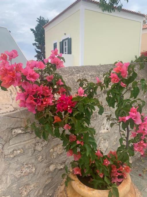 Villa 1853, Spetses Ground Floor מראה חיצוני תמונה